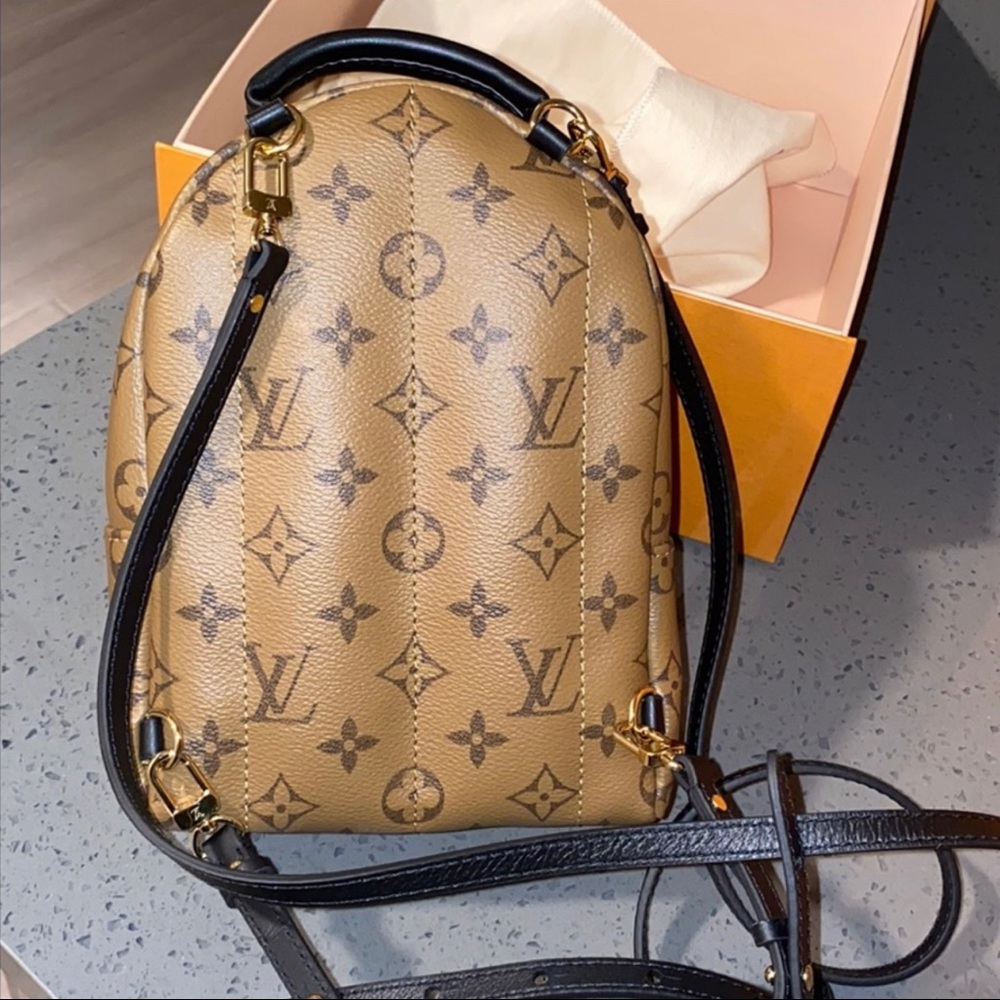 Louis Vuitton Palm Springs Mini Backpack - Picture 3 of 12